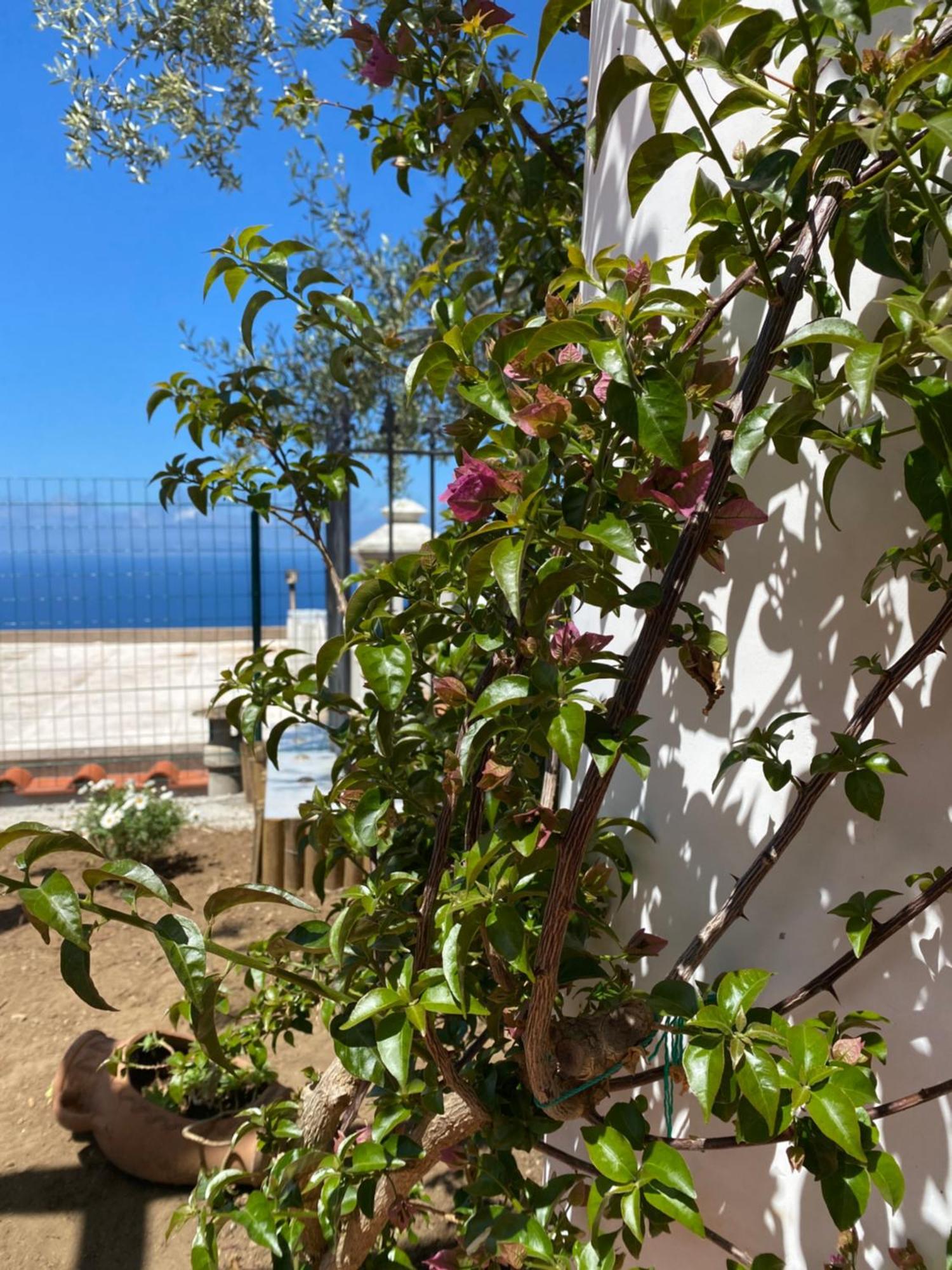B&B La Ciammurrella Anacapri  Exterior foto