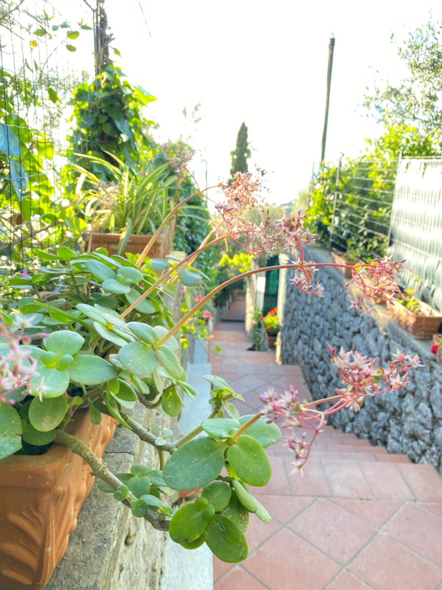 B&B La Ciammurrella Anacapri  Exterior foto